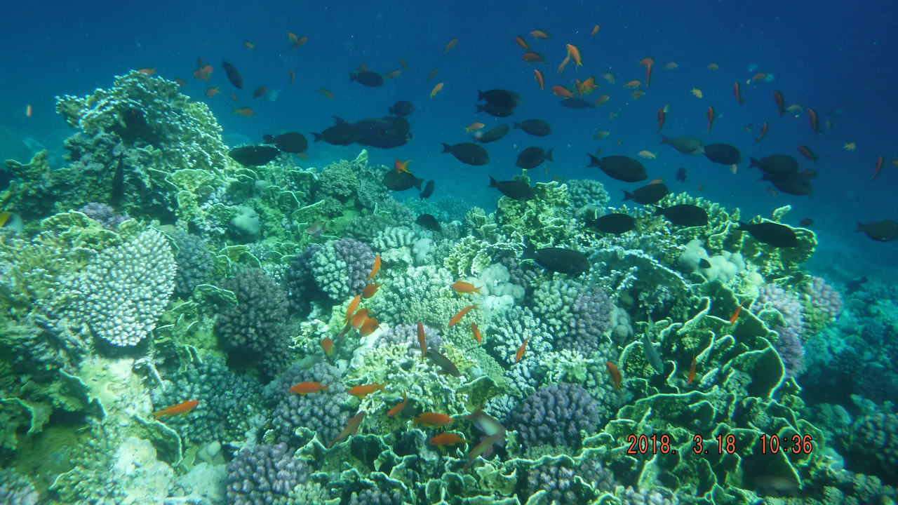 Strand Serenity Alpha Beach