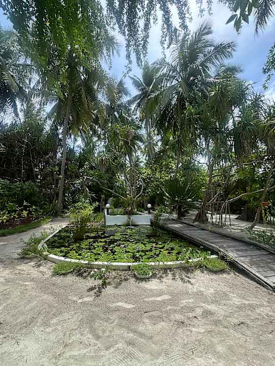 Gartenanlage Angaga Island Resort