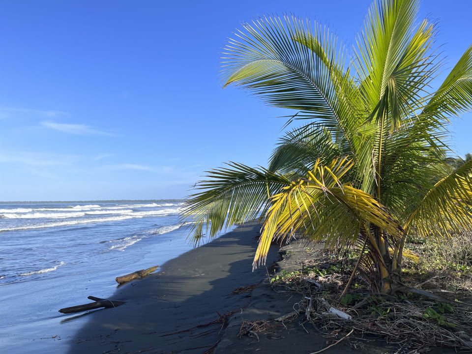 Strand Casa Caribe Sur - Karibik & Style