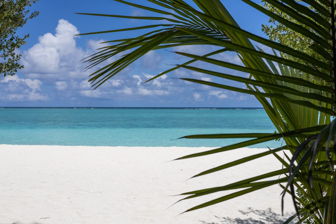 Strand Summer Island Maldives