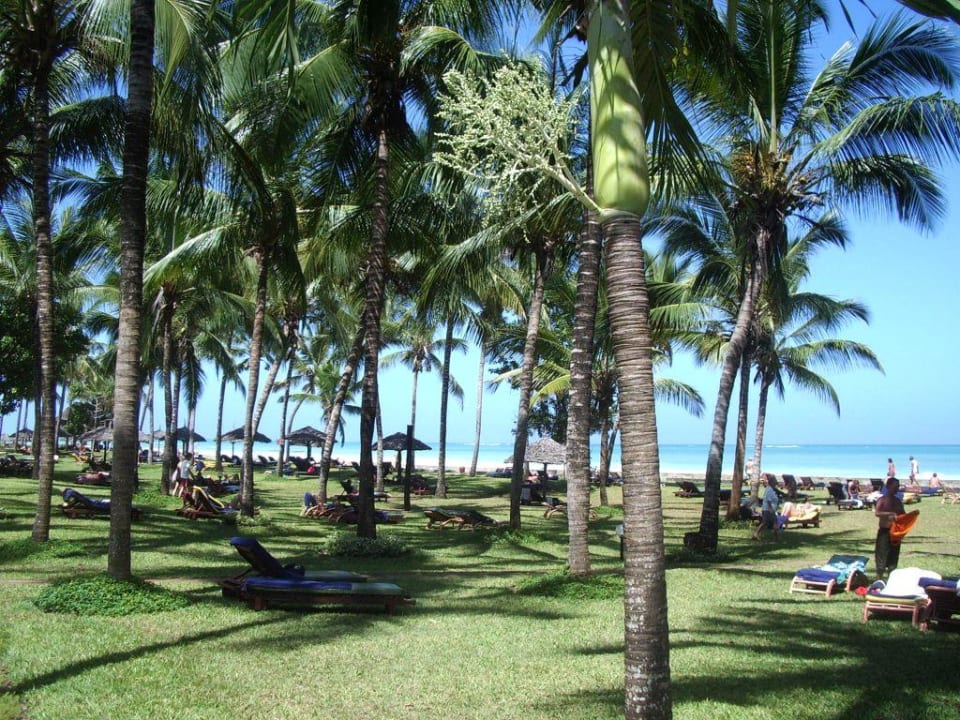 Die Gartenanlage mit den Sonnenliegen Neptune Paradise Beach Resort & Spa