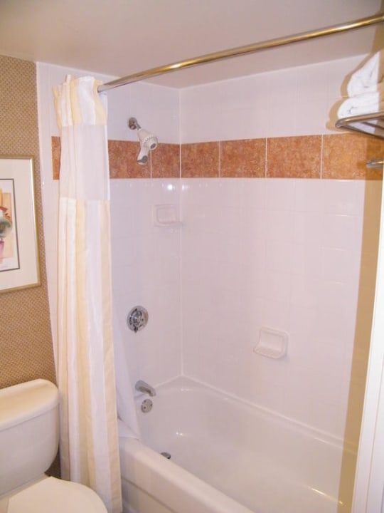 Badezimmer Hilton Garden Inn Orlando at SeaWorld