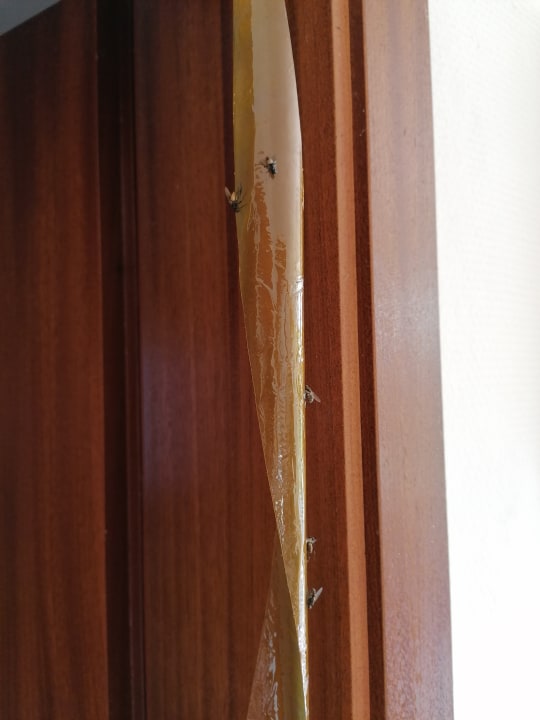 Zimmer Ferienwohnung Drei Eichen II