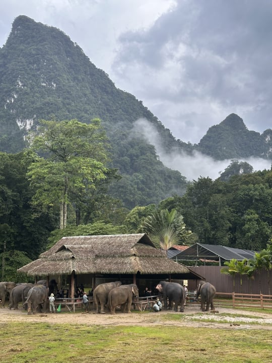 Sport & Freizeit Elephant Hills