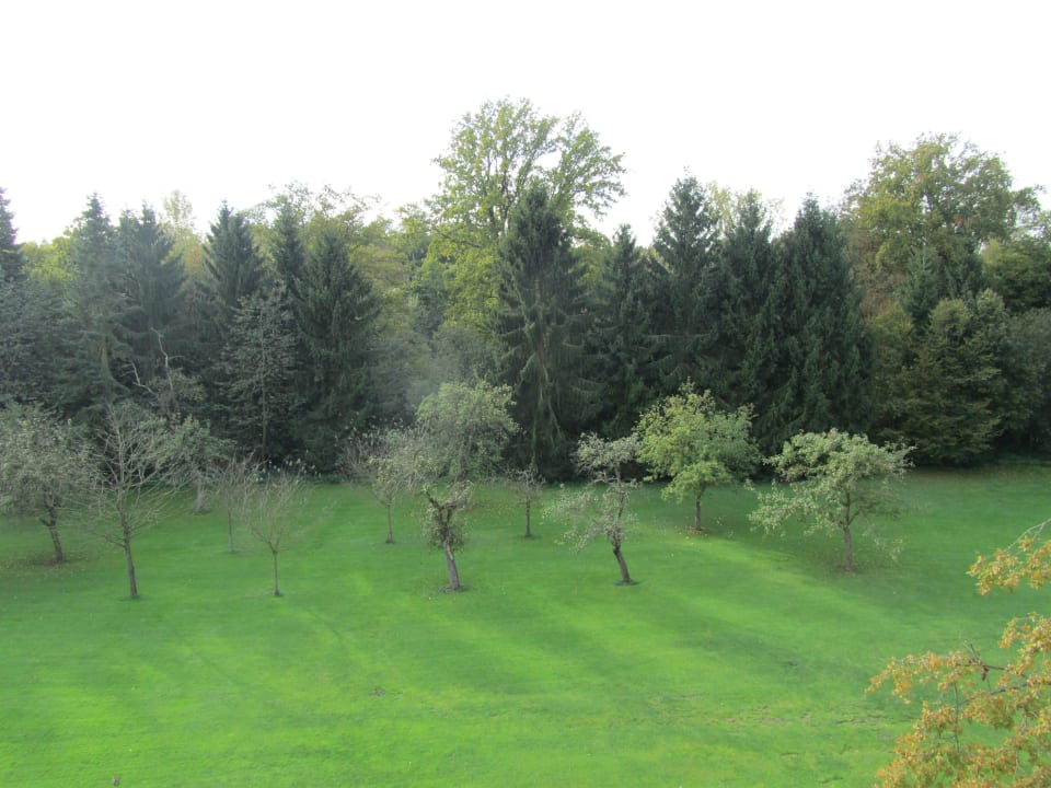 Der große Garten Hotel Schloß Wilkinghege