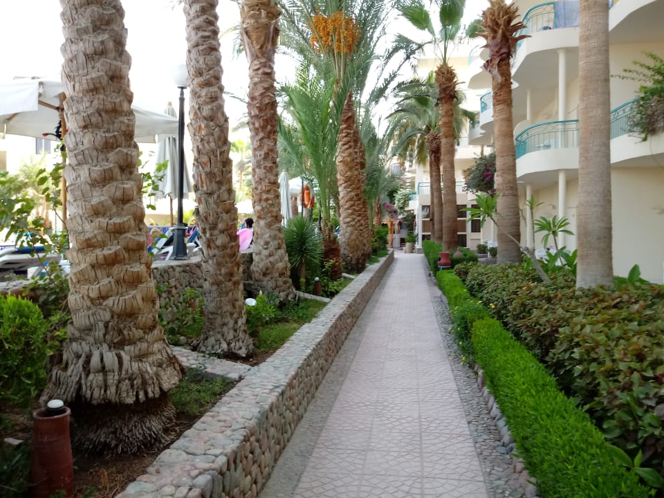 Gartenanlage Bella Vista Resort Hurghada
