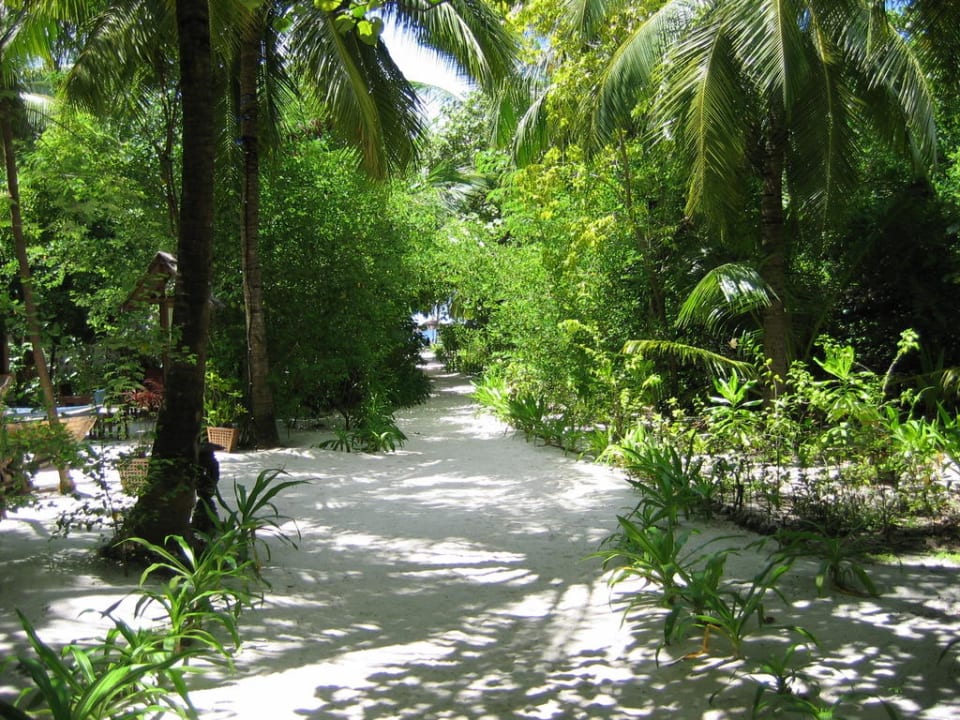 Grüne Insel Reethi Beach Resort