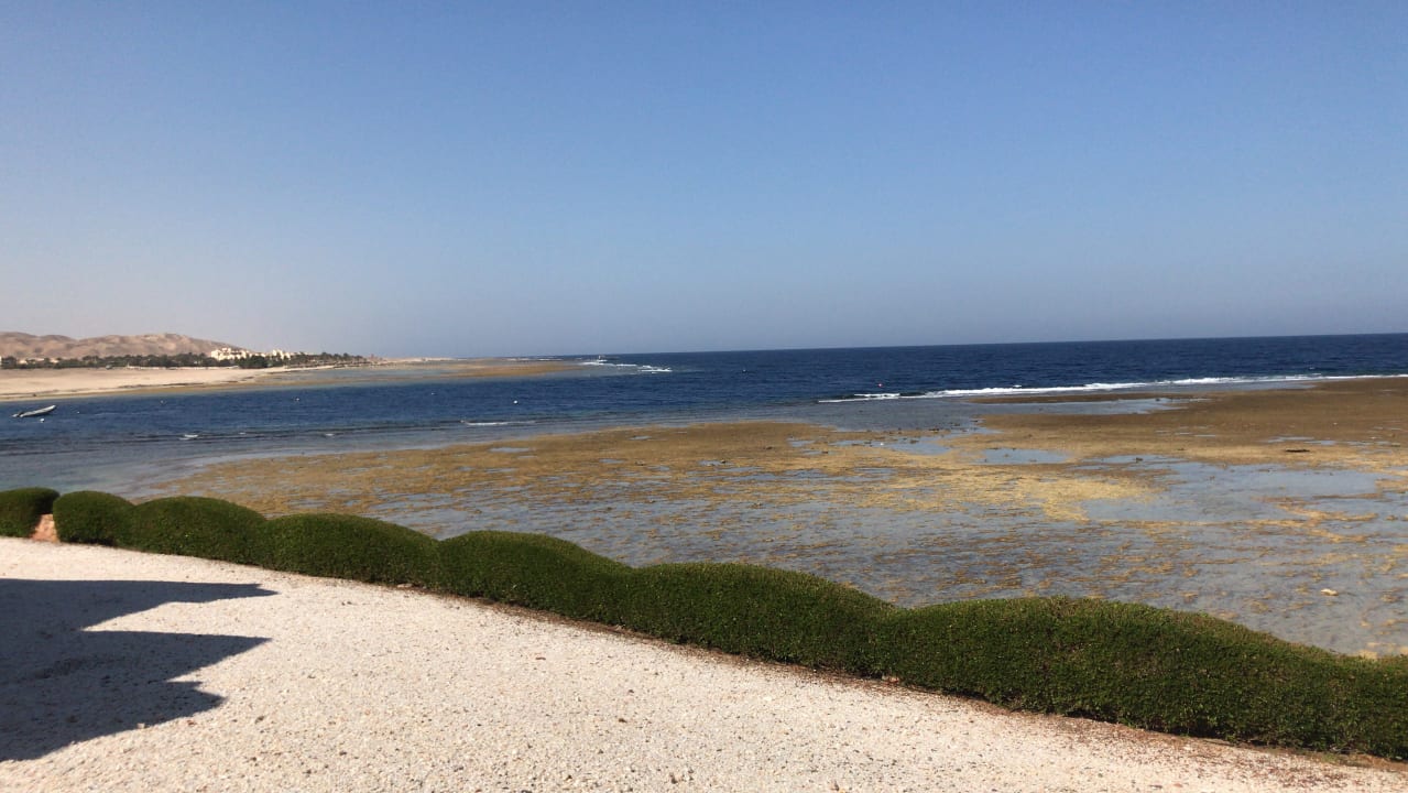Vom 12er Block mit Sea view Mövenpick Resort El Quseir