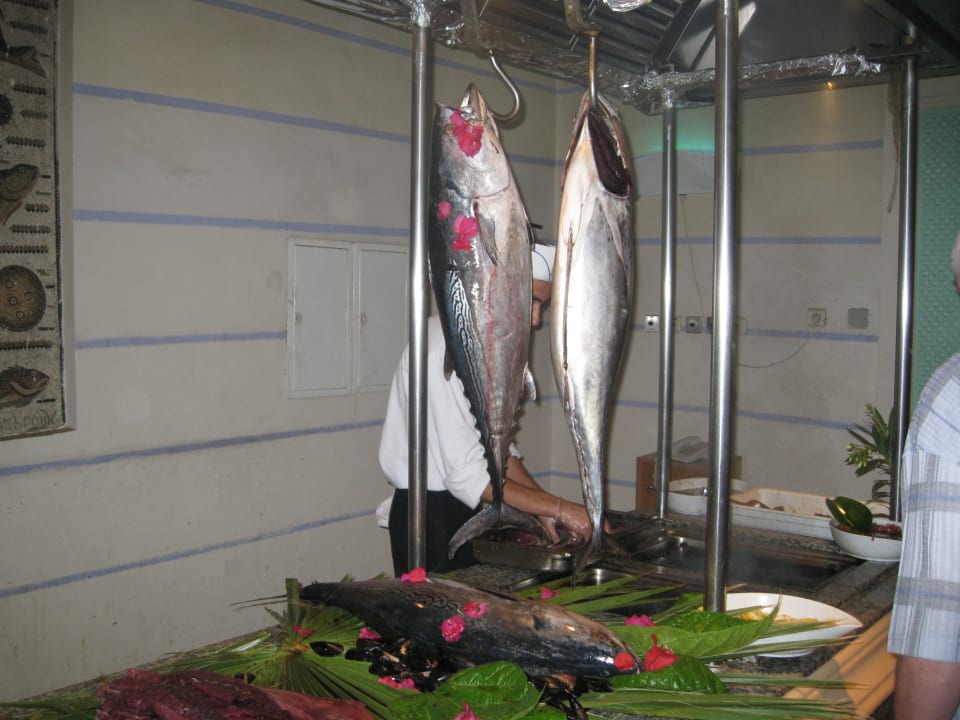 Frischer Fisch Hotel El Mouradi Djerba Menzel