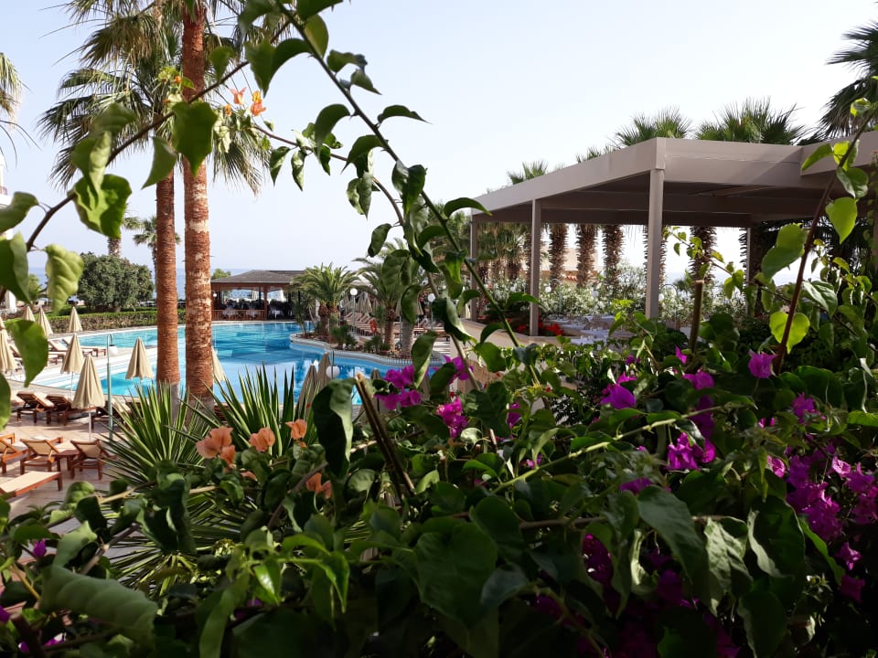 Ausblick Rethymno Palace