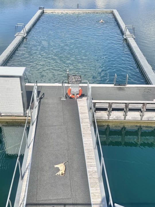 Pool Hotel Hochschober