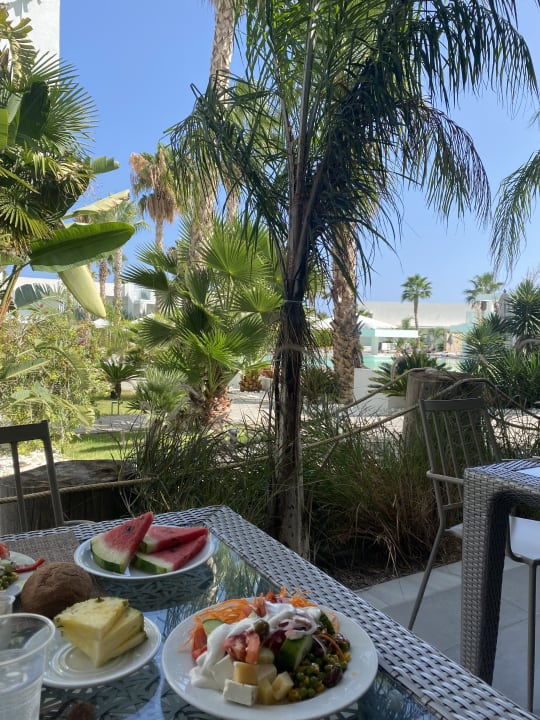 Gartenanlage White Dreams Resort & Anex