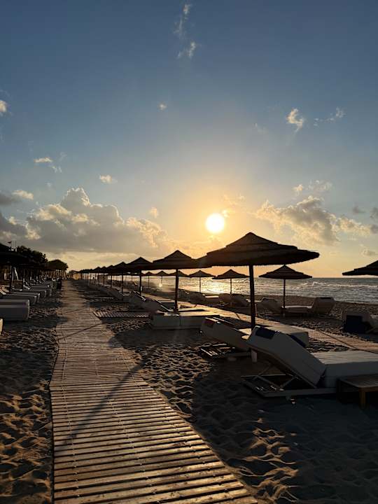Strand Paralos Kosta Alímia