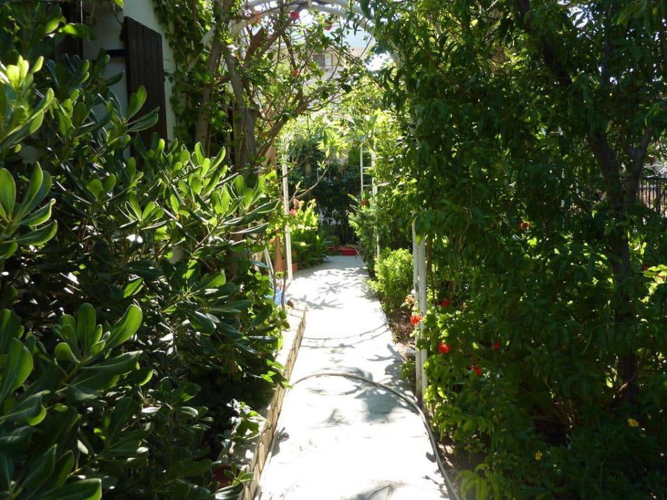 Weg im Garten  Villa Anna