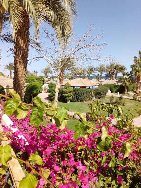Gartenanlage Lotus Bay Beach Resort
