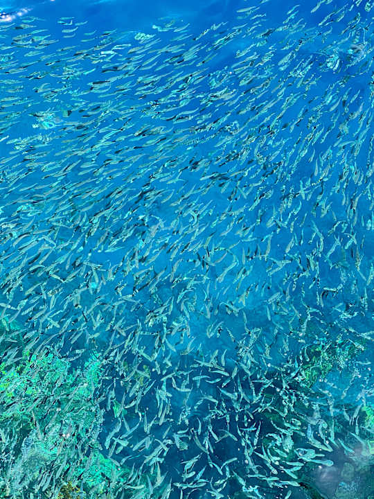 Strand Akassia Swiss Resort