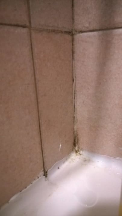 Schimmel im Bad / Mildew in the bathroom Hotel Prima City