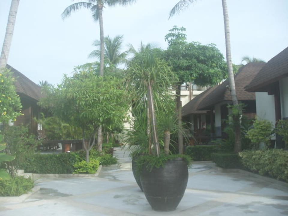 die Cabanas-wirklich toll! Iyara Beach Hotel