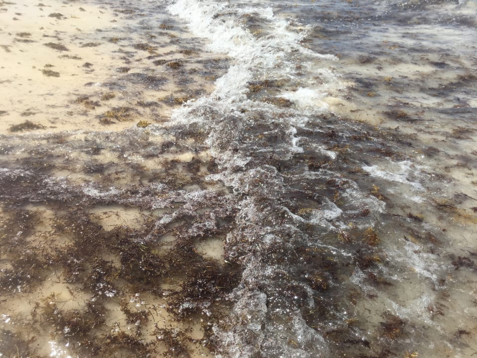 Strand Hotel Riu Palace Macao - Adults only