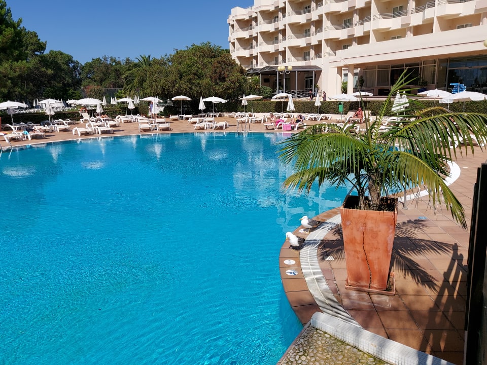 Pool PortoBay Falésia