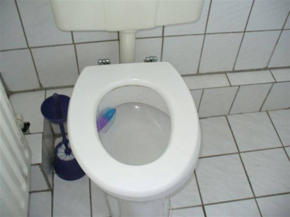 WC im Bad OG Apartments Stegelshof