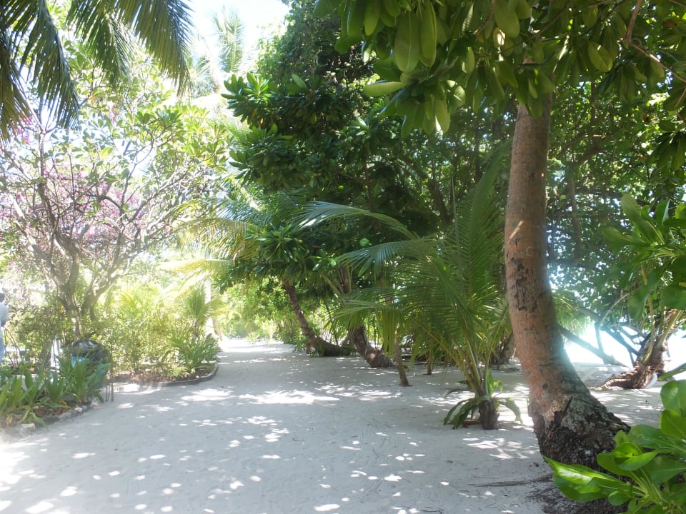Vor unserem Bungalow Kuramathi Maldives