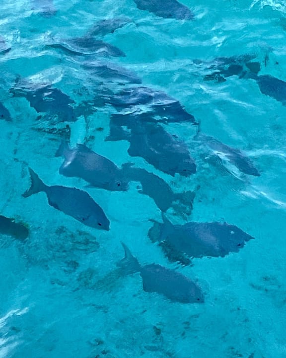 Sport & Freizeit Summer Island Maldives