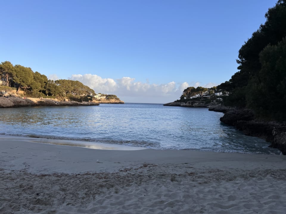 Strand Grupotel Rocador