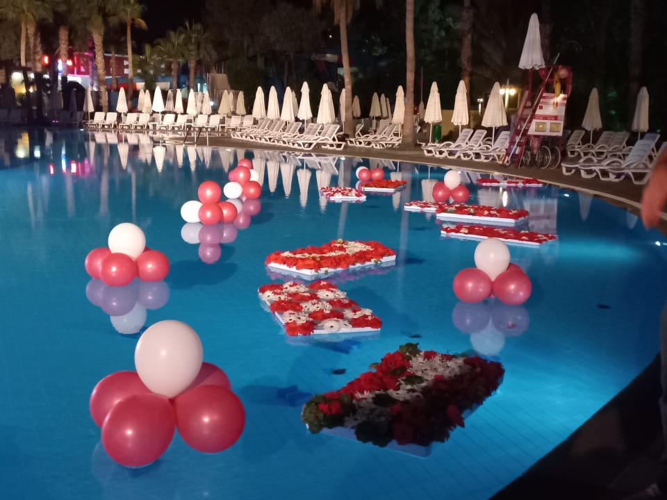 Pool Hotel Botanik Platinum