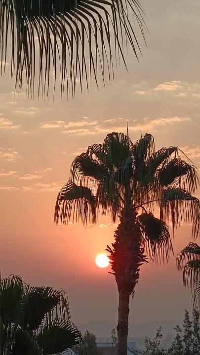 Ausblick Club Sidelya Hotel