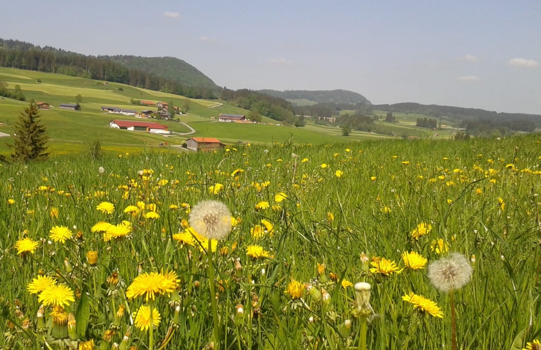 Sonstiges Ferienhof - Bauernhof Hefele