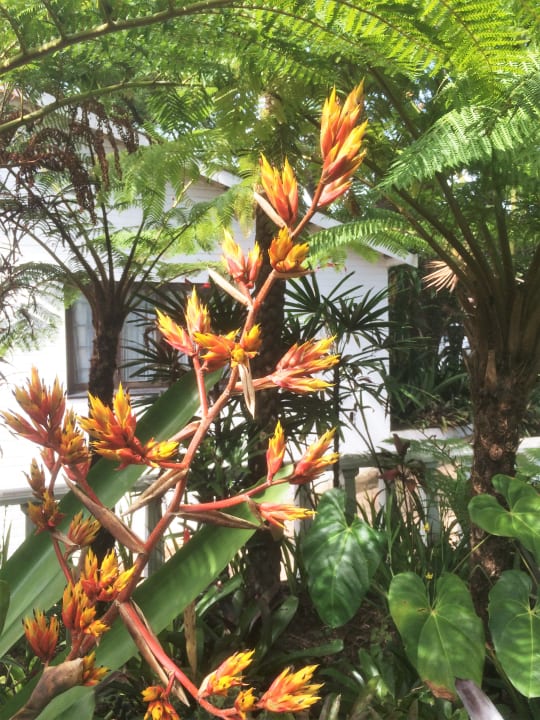 Gartenanlage St. Lucia Wetlands Guesthouse