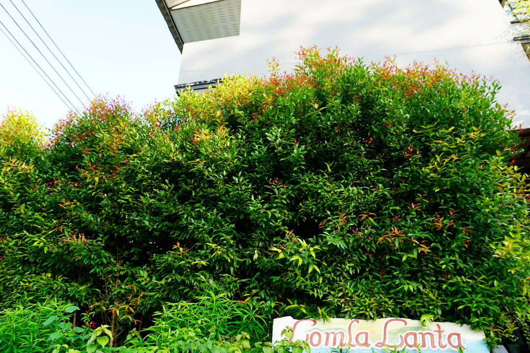 Sonstiges Lom La Lanta Hotel