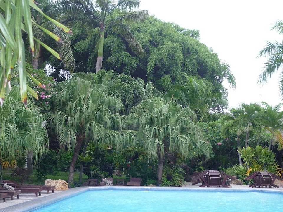 Toller Pool Hotel The Cottage