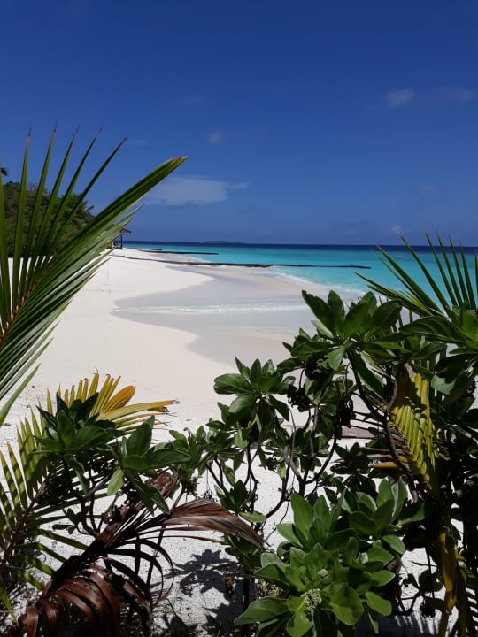 Strand Adaaran Select Meedhupparu Island Resort - Premium All Inclusive