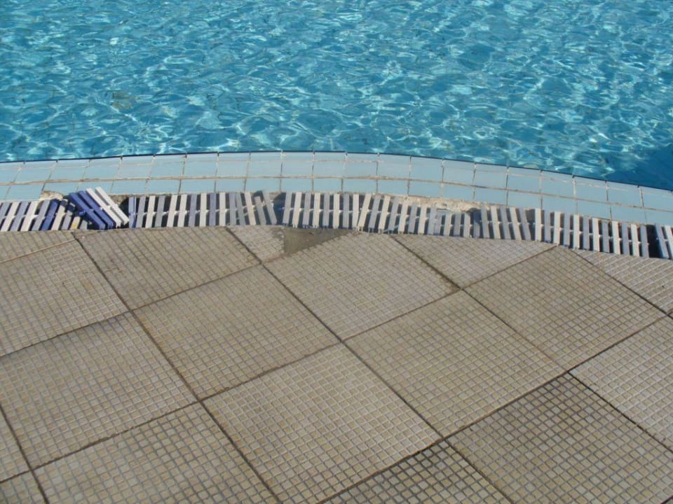 Unfallgefahr Desert Rose