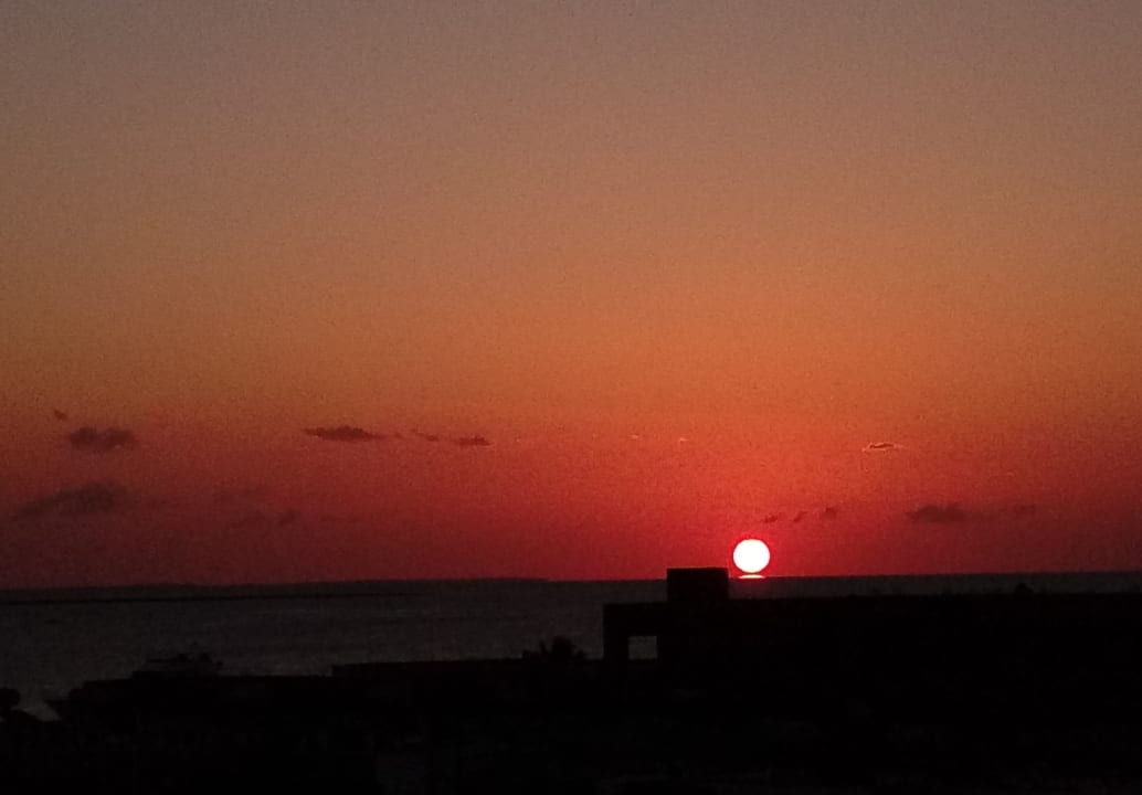 Ausblick vom Balkon Seagull Beach Resort