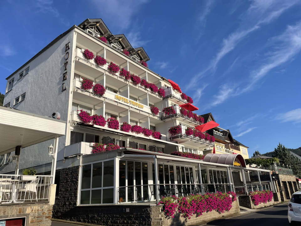 Ausblick Moselstern Hotel Brixiade & Triton