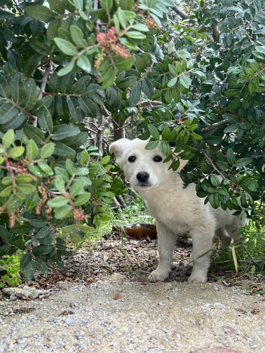Gartenanlage Aqua Fantasy Aquapark Hotel & Spa