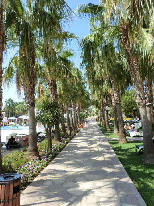 Weg zum Strand Arum Barut Collection