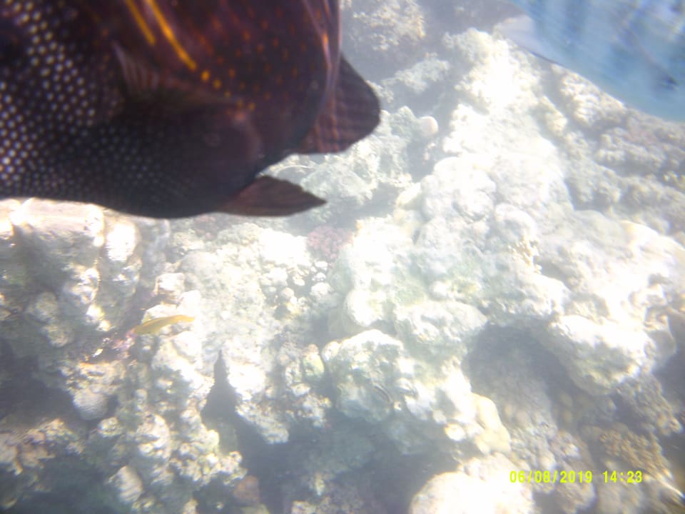 Sport & Freizeit Stella Beach Resort & Spa Makadi Bay