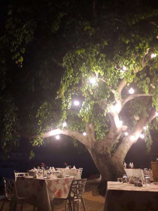 Gastro Hotel La Mariposa