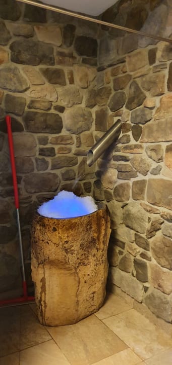 Sport & Freizeit Alm- & Wellnesshotel Alpenhof