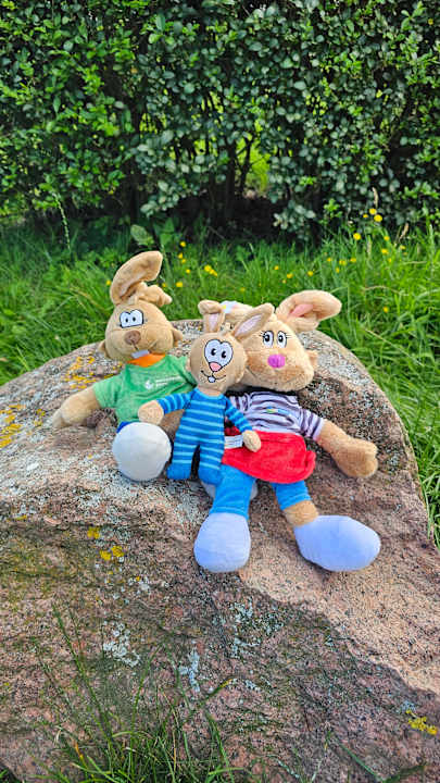 Sonstiges Ferienwohnungen Ferienpark Weissenhäuser Strand