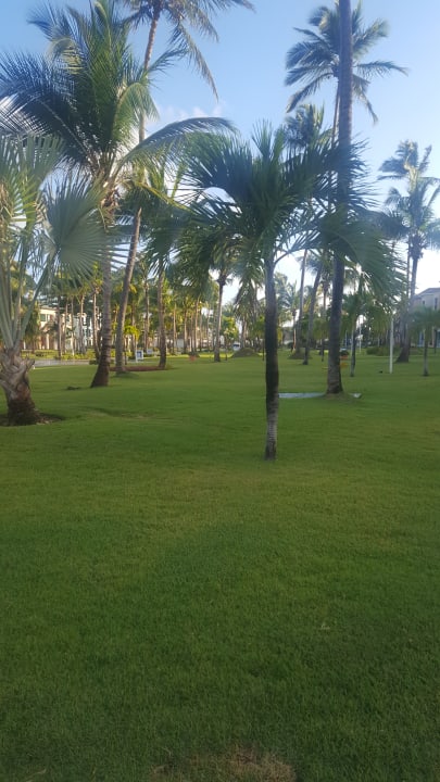 Gartenanlage Ocean Blue & Sand