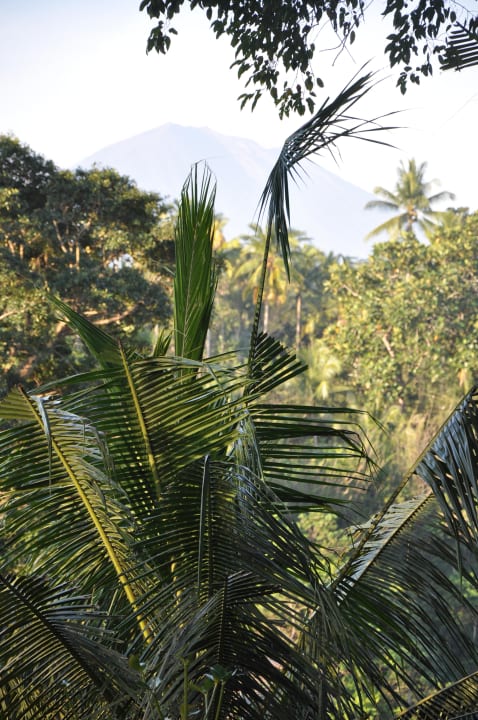 Aussicht vom Restaurant The Payogan Villa Resort & Spa