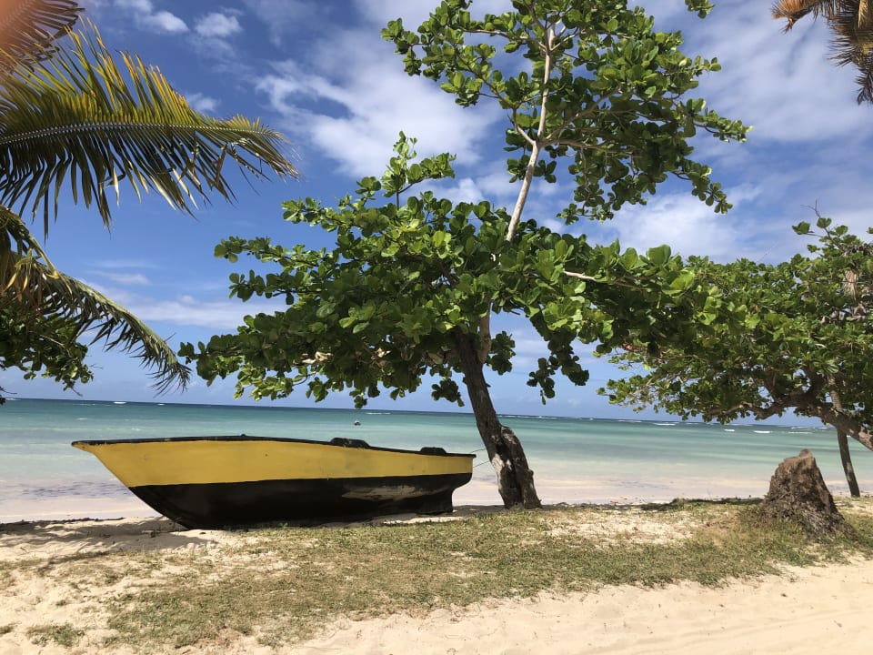 Strand Wyndham Alltra Samana