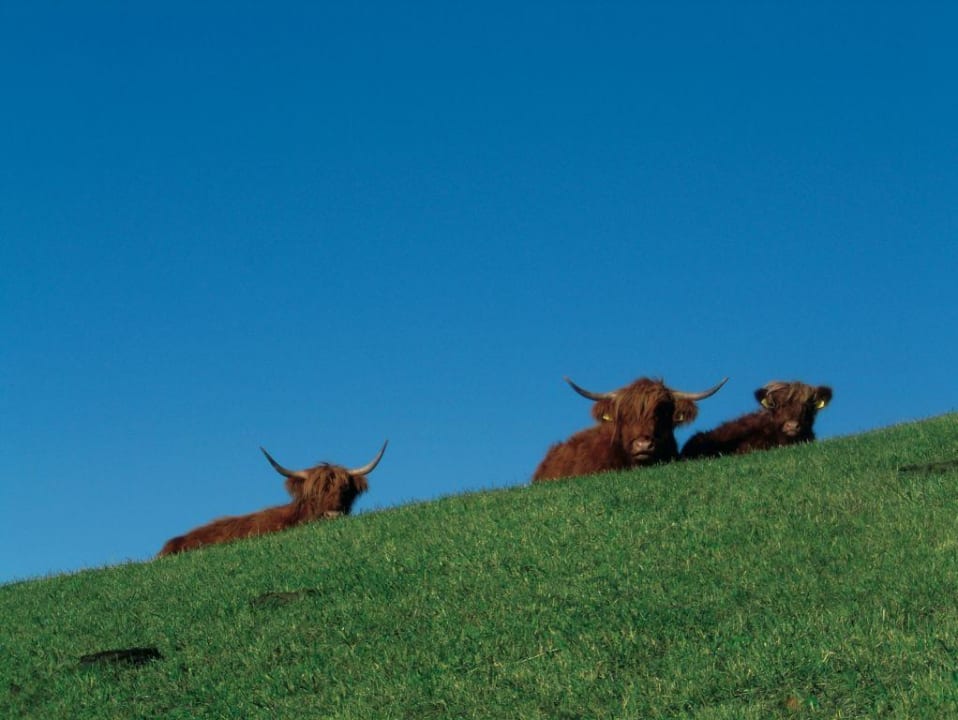 Sonstiges Hotel-Motiv Hotel Zirmerhof