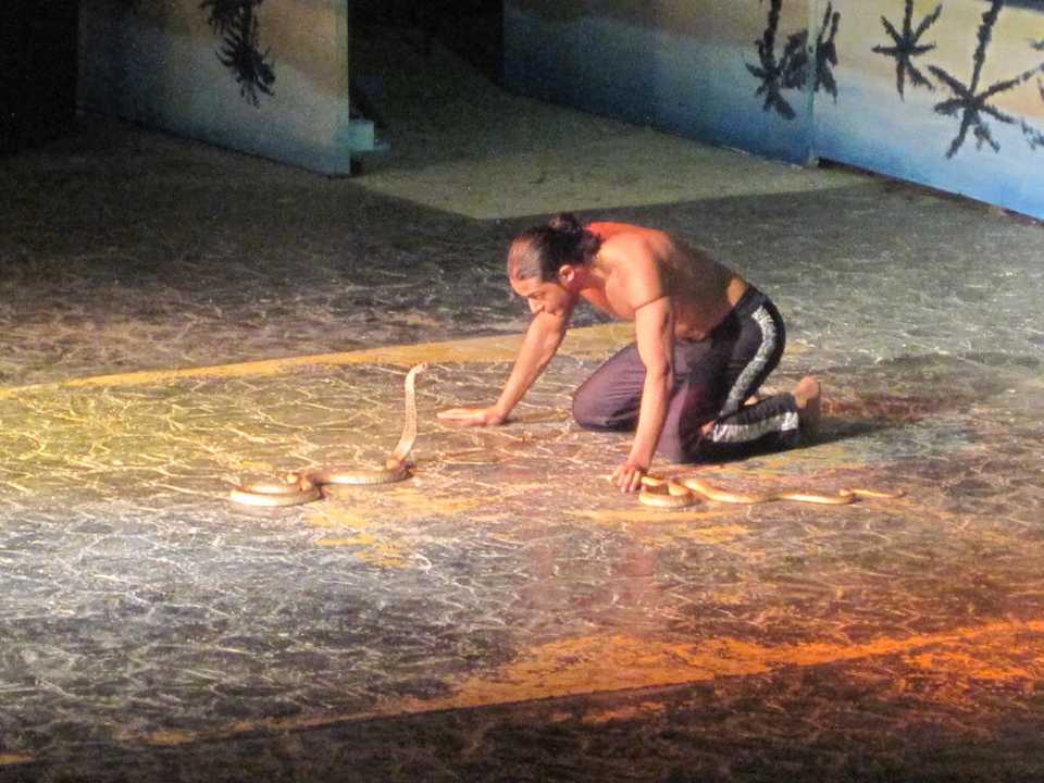 Cobra Show Pickalbatros Alf Leila Wa Leila Resort - Neverland Hurghada