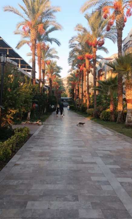 Gartenanlage Crystal Aura Aqua Collection